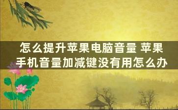 怎么提升苹果电脑音量 苹果手机音量加减键没有用怎么办